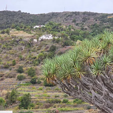 Cozy Izan Drago In Icod De Vinos Διαμέρισμα Icod De Los Vinos