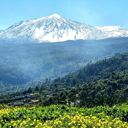 Apartment Cozy Izan Drago In Icod De Vinos By Hrtenerife Net