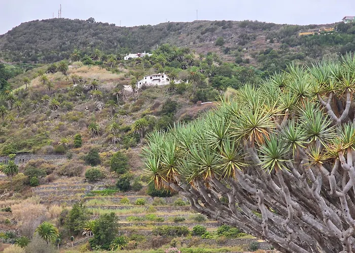 Cozy Izan Drago In Icod De Vinos 아파트 이코드레로스비노스