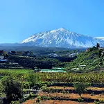 公寓 Cozy Izan Drago In Icod De Vinos