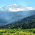 公寓 Cozy Izan Drago In Icod De Vinos