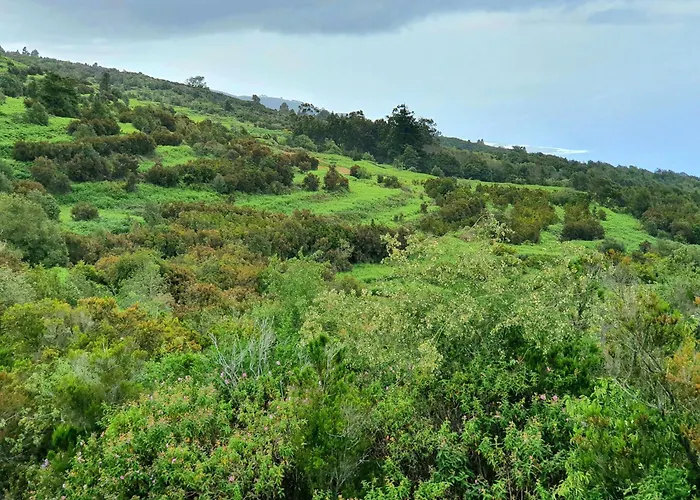 Cozy Izan Drago In Icod De Vinos * Icod De Los Vinos