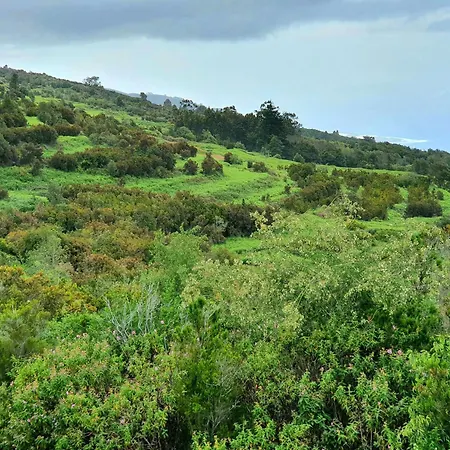 Cozy Izan Drago In Icod De Vinos * איקוד דה לוס וינוס